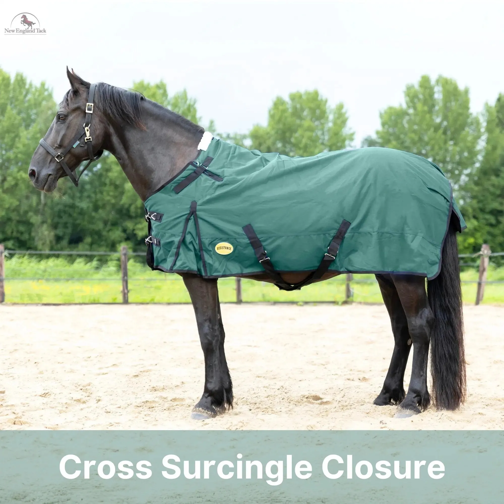 Resistance Premium 1200 Denier Waterproof Horse Turnout Blanket - 300 Grams Fill