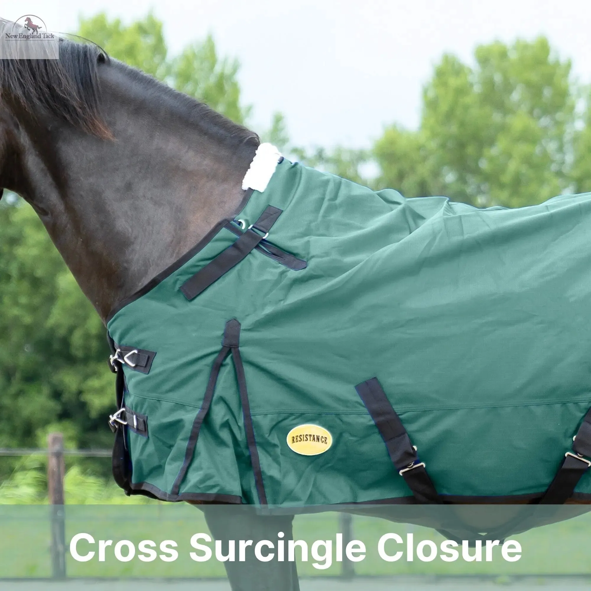 Resistance Premium 1200 Denier Waterproof Horse Turnout Blanket - 300 Grams Fill