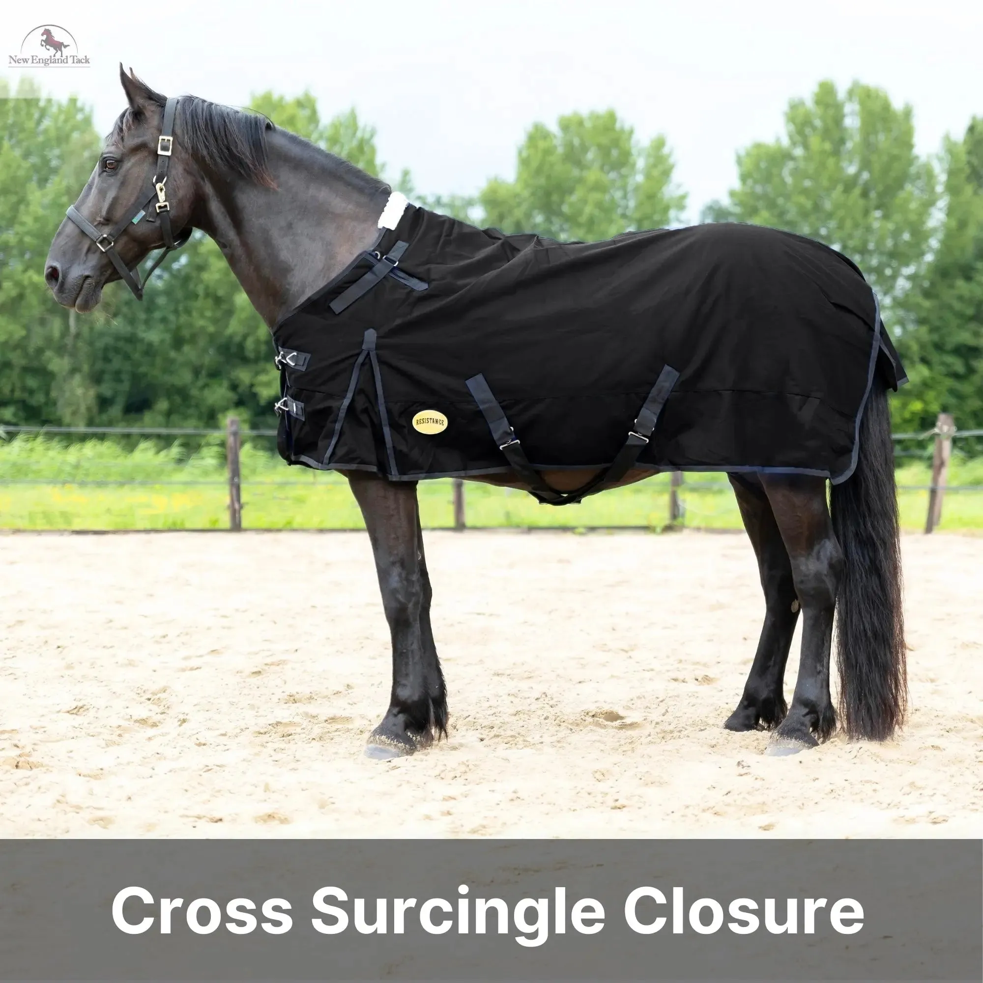 Resistance Premium 1200 Denier Waterproof Horse Turnout Blanket - 300 Grams Fill