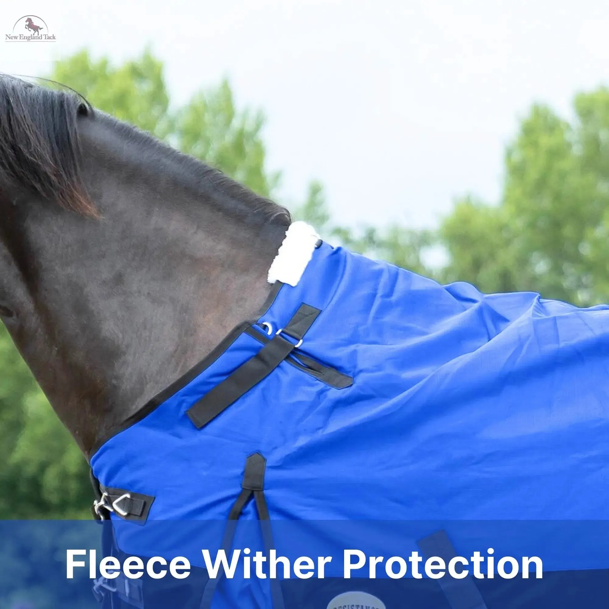 Resistance Premium 1200 Denier Waterproof Horse Turnout Blanket - 300 Grams Fill