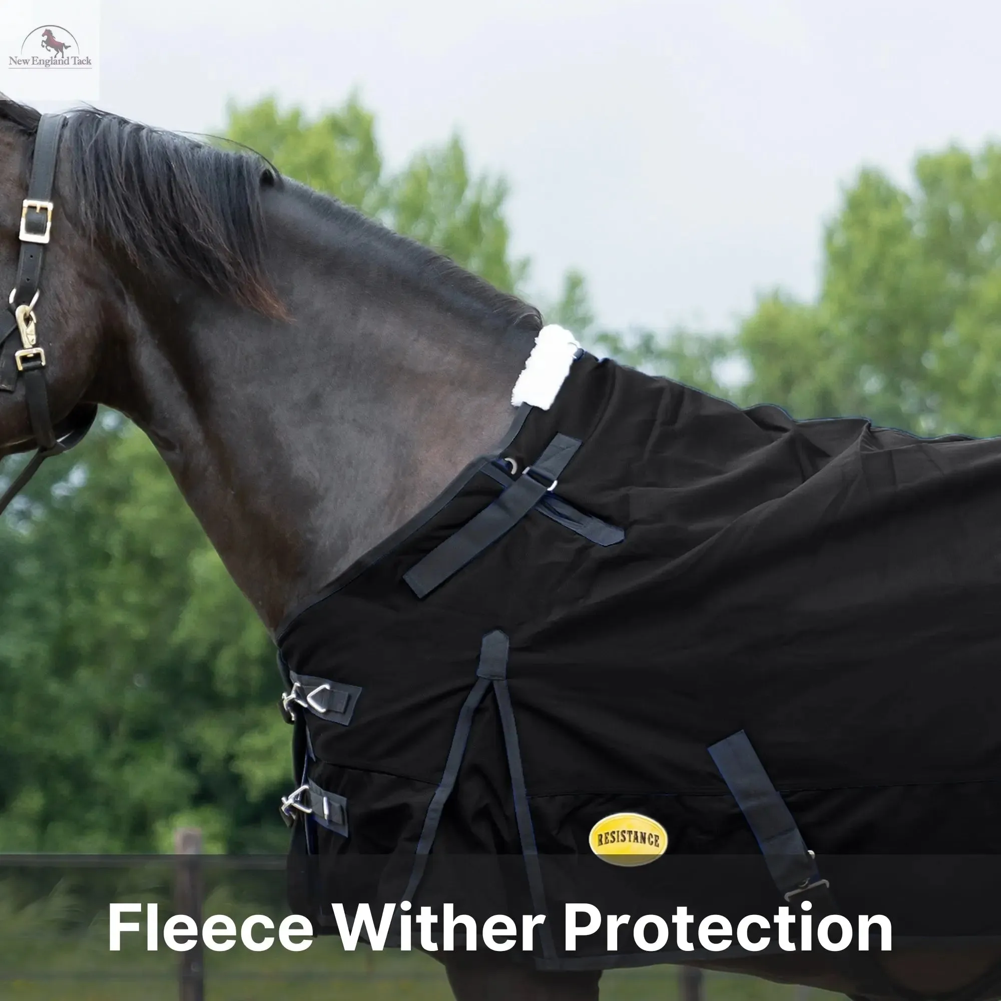 Resistance Premium 1200 Denier Waterproof Horse Turnout Blanket - 300 Grams Fill